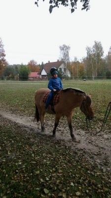 wycieczka do stajni_13