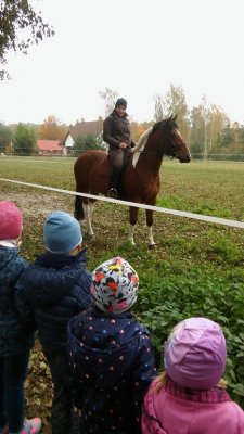wycieczka do stajni_17