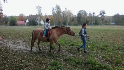 wycieczka do stajni_6