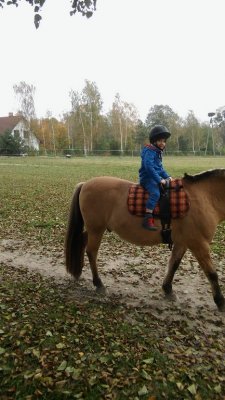 wycieczka do stajni_8