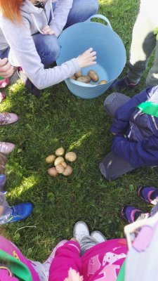 2018 DZIEŃ PIECZONEGO ZIEMNIAKA_3