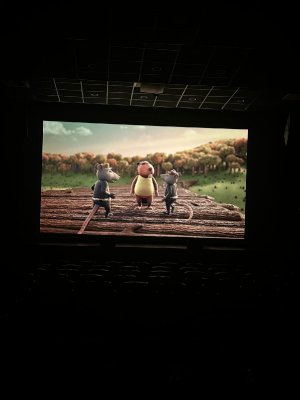 2025 WYJAZD PRZEDSZKOLAKÓW DO KINA_7